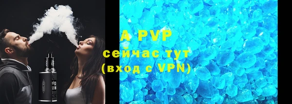 стаф Богородицк