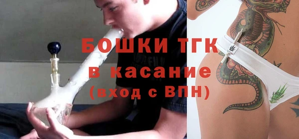 шишки Богданович