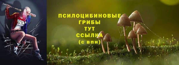 таблы Белокуриха
