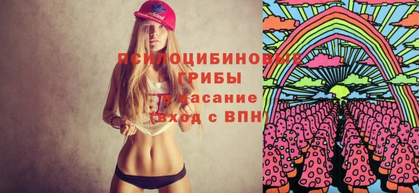 таблы Белокуриха