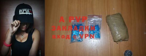 стаф Богородицк