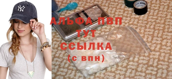 стаф Богородицк