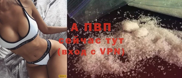 стаф Богородицк