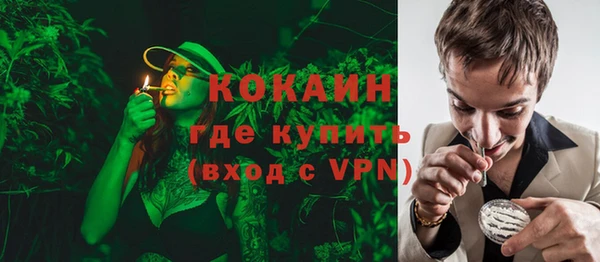 шишки Богородск