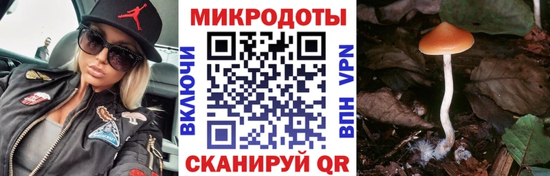 MEGA ONION  цена наркотик  darknet Telegram  Галлюциногенные грибы Psilocybe  Малая Вишера 